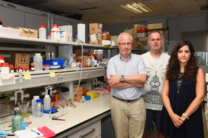 Content Dam Bow Online Articles 2016 10 Cocaine Detection Upv