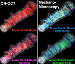 Content Dam Bow Online Articles 2016 10 Suter Image Web Content Dam Bow Online Articles 2016 10 Suter Image Web