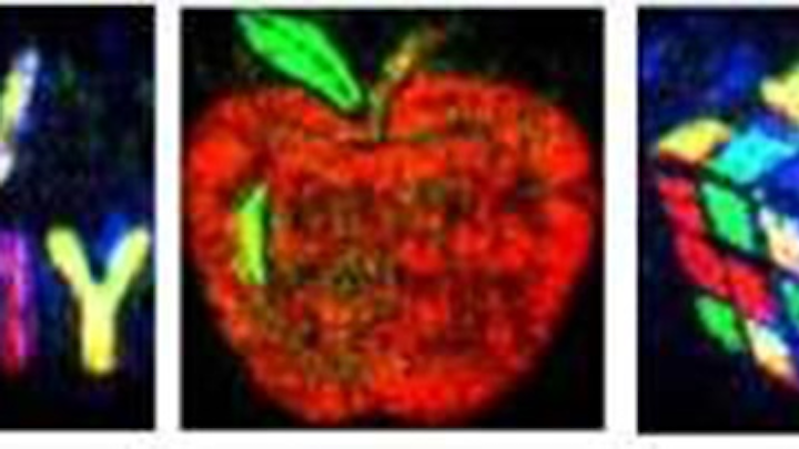 Experimenting with the interplay of red, green and blue laser light on metasurface structures, the researchers demonstrated 'clean and vivid full-color holographic images with high resolution and low noise.” (Image credit: Missouri University of Science and Technology)