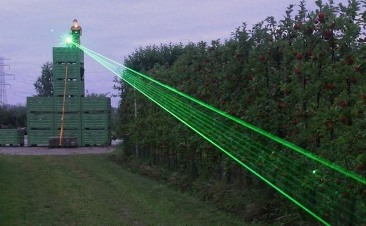 The European Commission is funding a trial to see if a laser can scare rats and other rodents from crops in order to eliminate harmful poisons. (Image credit: BBC)