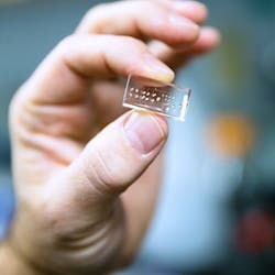 A flexible optofluidic chip controls light and fluids for biological detection applications. A flexible optofluidic chip controls light and fluids for biological detection applications.