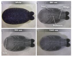 Content Dam Lfw Print Articles 2016 10 1610lfw Nb F5 Content Dam Lfw Print Articles 2016 10 1610lfw Nb F5