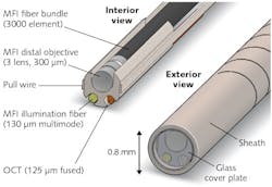 Less than a millimeter in diameter, the latest version of the falloposcope incorporates separate illumination fibers for OCT and multispectral fluorescence imaging (MFI; 125 &mu;m single-mode and 130 &mu;m multimode, respectively); a three-lens, 300 &mu;m distal objective for MFI; a bundle of 3000-element optical fiber for imaging; and two pull wires to enable steering of the imaging element during the assessment procedure.