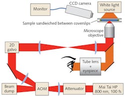 FIGURE 4. Simplified schematic of the refractive index-writing system includes a femtosecond laser whose beam is attenuated by a half-wave plate and a linear polarizer before being focused into an acousto-optic modulator (AOM) to provide power control with megahertz bandwidth. A lens recollimates the beam, which then enters a two-mirror galvanometer. The plane between the two mirrors is then relayed to the entrance pupil of a microscope objective. The sample is placed in the focal plane of the microscope objective. A CCD camera monitors the obliquely scattered light during the writing. The microscope objective, eyepiece, and tube lens allow monitoring of the writing process. FIGURE 4. Simplified schematic of the refractive index-writing system includes a femtosecond laser whose beam is attenuated by a half-wave plate and a linear polarizer before being focused into an acousto-optic modulator (AOM) to provide power control with megahertz bandwidth. A lens recollimates the beam, which then enters a two-mirror galvanometer. The plane between the two mirrors is then relayed to the entrance pupil of a microscope objective. The sample is placed in the focal plane of the microscope objective. A CCD camera monitors the obliquely scattered light during the writing. The microscope objective, eyepiece, and tube lens allow monitoring of the writing process.