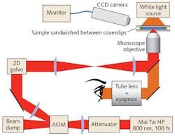 FIGURE 4. Simplified schematic of the refractive index-writing system includes a femtosecond laser whose beam is attenuated by a half-wave plate and a linear polarizer before being focused into an acousto-optic modulator (AOM) to provide power control with megahertz bandwidth. A lens recollimates the beam, which then enters a two-mirror galvanometer. The plane between the two mirrors is then relayed to the entrance pupil of a microscope objective. The sample is placed in the focal plane of the microscope objective. A CCD camera monitors the obliquely scattered light during the writing. The microscope objective, eyepiece, and tube lens allow monitoring of the writing process. FIGURE 4. Simplified schematic of the refractive index-writing system includes a femtosecond laser whose beam is attenuated by a half-wave plate and a linear polarizer before being focused into an acousto-optic modulator (AOM) to provide power control with megahertz bandwidth. A lens recollimates the beam, which then enters a two-mirror galvanometer. The plane between the two mirrors is then relayed to the entrance pupil of a microscope objective. The sample is placed in the focal plane of the microscope objective. A CCD camera monitors the obliquely scattered light during the writing. The microscope objective, eyepiece, and tube lens allow monitoring of the writing process.