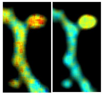 Content Dam Bow Online Articles 2016 10 125964 Web2