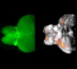 Content Dam Bow Online Articles 2016 10 Font Web Content Dam Bow Online Articles 2016 10 Font Web