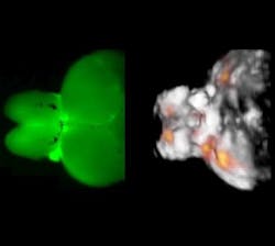 Content Dam Bow Online Articles 2016 10 Font Web Content Dam Bow Online Articles 2016 10 Font Web