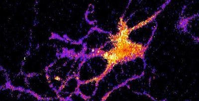 Content Dam Bow Online Articles 2016 10 Glowing Brain Cell Web