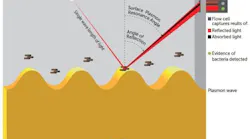Content Dam Bow Online Articles 2016 11 Poseidon Light Sensorb Web