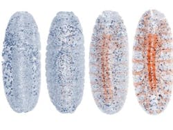 Content Dam Bow Online Articles 2016 11 Zoom Web Content Dam Bow Online Articles 2016 11 Zoom Web