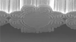 A 3D print of an optimized flower structure is only 15 µm in cross-sectional size.