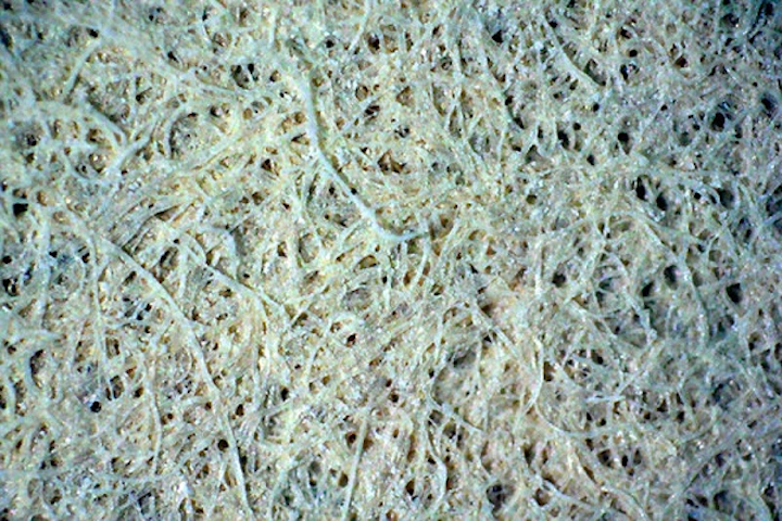 The TU Munich (TUM) team used conventional laboratory filter paper as a structural template due to its long fibers and the stable structure to build a random laser. (Image credit: Institute for Complex Systems /Rome)