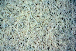 The TU Munich (TUM) team used conventional laboratory filter paper as a structural template due to its long fibers and the stable structure to build a random laser. (Image credit: Institute for Complex Systems /Rome) The TU Munich (TUM) team used conventional laboratory filter paper as a structural template due to its long fibers and the stable structure to build a random laser. (Image credit: Institute for Complex Systems /Rome)