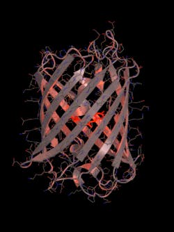 Molecule Web Molecule Web