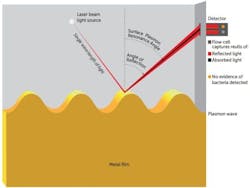 Poseidon Light Sensora Web Poseidon Light Sensora Web