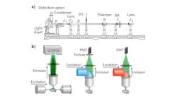 FIGURE 1. (a) The ultramicroscope, an early light-sheet microscopy (LSM) instrument, collected sunlight using a lens (F1; ~10 mm focal length) that focused on a horizontal bilateral slit to reduce the vertical dimension to 0.2-0.02 mm. An optional polarizer (P) allows for polarization, while the iris (J) ensures removal of side-reflected light from slit S. A chisel-shaped diaphragm (B) is used to adjust the dimension of horizontally focused light, which is passed through a lens (F2) and a condenser to generate a thin sheet of light. An orthogonally arranged in-focus wide-field detector allows visualization of the illuminated plane. (b) LSM achieves optical sectioning by confining illumination to a plane of interest, whereas confocal and two-photon microscopies are point-scanning methods using pinhole and nonlinear absorption processes, respectively.