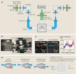 FIGURE 2. (a) A schematic of a COLM microscope's layout, which does not depict an additional opposite detection arm for imaging the sample from two opposite sides, as demonstrated in whole-brain imaging movies8 and design in patent application #PCT/US2015/032951. (b) An optically homogeneous sample-mounting system accommodates large, intact specimens; (c) COLM synchronizes line-by-line illumination and detection to produce a virtual slit effect for achieving deeper, high-quality imaging; and (d) a critical requirement for high-quality depth imaging is to ensure the alignment of the light-sheet and detection objective focal planes across the sample. FIGURE 2. (a) A schematic of a COLM microscope's layout, which does not depict an additional opposite detection arm for imaging the sample from two opposite sides, as demonstrated in whole-brain imaging movies8 and design in patent application #PCT/US2015/032951. (b) An optically homogeneous sample-mounting system accommodates large, intact specimens; (c) COLM synchronizes line-by-line illumination and detection to produce a virtual slit effect for achieving deeper, high-quality imaging; and (d) a critical requirement for high-quality depth imaging is to ensure the alignment of the light-sheet and detection objective focal planes across the sample.