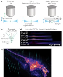 FIGURE 4. (a) SPED combines the optical sectioning of light-sheet microscopy with extended-depth-of-field (i.e., PSF elongation axially, while maintaining the lateral extent). (b) A ray-tracing example demonstrates use of a RI change to elongate PSF. (c) SPED-elongated PSF of four different objectives covering a range of specifications: For each objective, the top is native PSF measured in air, and the bottom is elongated PSF.4 (d) Volume rendering from a high-speed live volumetric imaging dataset of a zebrafish larva expressing calcium indicator GCaMP, which acts as a reporter for neuronal activity. For demonstration purposes, approximate elongated PSF images were separately overlaid on the volume rendering. FIGURE 4. (a) SPED combines the optical sectioning of light-sheet microscopy with extended-depth-of-field (i.e., PSF elongation axially, while maintaining the lateral extent). (b) A ray-tracing example demonstrates use of a RI change to elongate PSF. (c) SPED-elongated PSF of four different objectives covering a range of specifications: For each objective, the top is native PSF measured in air, and the bottom is elongated PSF.4 (d) Volume rendering from a high-speed live volumetric imaging dataset of a zebrafish larva expressing calcium indicator GCaMP, which acts as a reporter for neuronal activity. For demonstration purposes, approximate elongated PSF images were separately overlaid on the volume rendering.