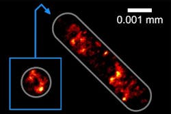 Content Dam Bow Online Articles 2016 12 Pm Web Content Dam Bow Online Articles 2016 12 Pm Web