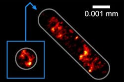 Content Dam Bow Online Articles 2016 12 Pm Web Content Dam Bow Online Articles 2016 12 Pm Web