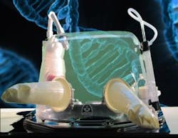 Content Dam Lfw Online Articles 2016 12 1612lfw Pro 13 Web Content Dam Lfw Online Articles 2016 12 1612lfw Pro 13 Web