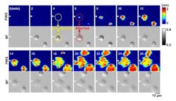 Labelfree 2 Web Labelfree 2 Web