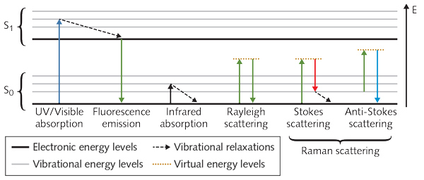 FIGURE 1. A Jablonski diagram is expanded to include vibrational (infrared) absorption, Rayleigh scattering, and Raman scattering.