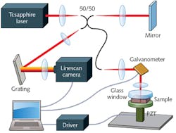 FIGURE 2. This OCE system measured tissue response as a function of drive frequency over a range from 25 Hz to 1 kHz, and showed that resonance frequencies in normal tissues differ from those in cancerous tissue. A Nd:YVO-pumped Ti:sapphire laser acted as a broadband source, providing a center wavelength of 800 nm and a 100 nm bandwidth. The sample arm used a tunable piezoelectric stack to excite the sample sinusoidally in the axial direction. The sample is bounded by a coverslip from below and a round wedge prism from above that can move against its spring. FIGURE 2. This OCE system measured tissue response as a function of drive frequency over a range from 25 Hz to 1 kHz, and showed that resonance frequencies in normal tissues differ from those in cancerous tissue. A Nd:YVO-pumped Ti:sapphire laser acted as a broadband source, providing a center wavelength of 800 nm and a 100 nm bandwidth. The sample arm used a tunable piezoelectric stack to excite the sample sinusoidally in the axial direction. The sample is bounded by a coverslip from below and a round wedge prism from above that can move against its spring.
