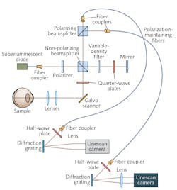 FIGURE 1. A high-speed spectral domain PS-OCT system used a free-space interferometer with a polarizing beamsplitter in the collection arm and fiber-optic coupling to deliver light to two independent spectrometers operating at 20,000 lines/s. After vertical polarization, light emitted from a superluminescent diode (SLD) illuminates a Michelson interferometer, where it is divided into sample and reference beams by a non-polarizing beamsplitter (NPBS). The reference light transmits a variable density filter, a glass plate, and a quarter-wave plate (QWP) at 22.5°, and is reflected by a mirror. The sample beam passes a QWP oriented at 45° to provide circularly polarized light to the sample. FIGURE 1. A high-speed spectral domain PS-OCT system used a free-space interferometer with a polarizing beamsplitter in the collection arm and fiber-optic coupling to deliver light to two independent spectrometers operating at 20,000 lines/s. After vertical polarization, light emitted from a superluminescent diode (SLD) illuminates a Michelson interferometer, where it is divided into sample and reference beams by a non-polarizing beamsplitter (NPBS). The reference light transmits a variable density filter, a glass plate, and a quarter-wave plate (QWP) at 22.5°, and is reflected by a mirror. The sample beam passes a QWP oriented at 45° to provide circularly polarized light to the sample.