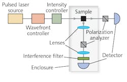 1702lfw Wn F5 1702lfw Wn F5