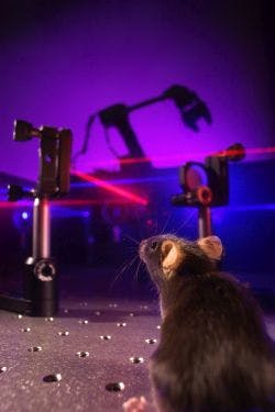 Content Dam Bow Online Articles 2017 02 Huberneuron2017sweb Content Dam Bow Online Articles 2017 02 Huberneuron2017sweb