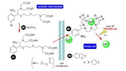 Content Dam Bow Online Articles 2017 02 Presentation1web Content Dam Bow Online Articles 2017 02 Presentation1web