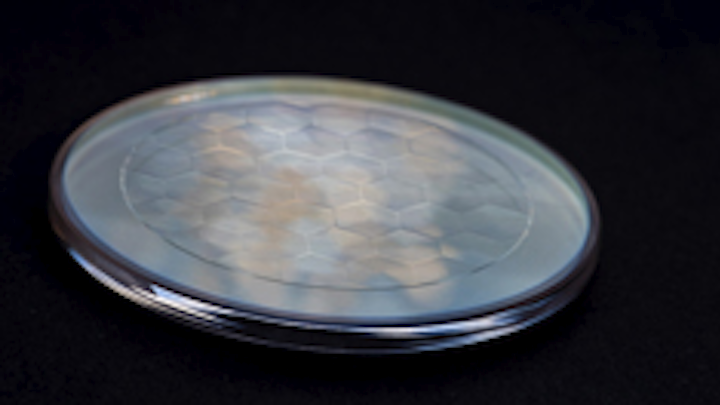 Content Dam Lfw Online Articles 2017 02 Axicon Array On Circular Substrate Press