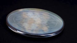 Content Dam Lfw Online Articles 2017 02 Axicon Array On Circular Substrate Press Content Dam Lfw Online Articles 2017 02 Axicon Array On Circular Substrate Press