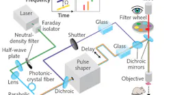 The pulse-shaping multiphoton microscope enables label-free multicontrast nonlinear imaging, including customized excitation for spectral focusing χ(3) CARS imaging and local-pulse-compressed χ(2) SHG/χ(3) THG/AF(2)/AF(3) imaging (color traces indicate spectral-temporal properties of excitation pulses); varying excitation and detection light to generate different imaging contrasts allows the PMT, acting as a human eye, to see the specimen differently (inset).