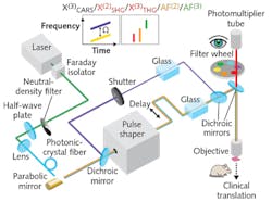 The pulse-shaping multiphoton microscope enables label-free multicontrast nonlinear imaging, including customized excitation for spectral focusing χ(3) CARS imaging and local-pulse-compressed χ(2) SHG/χ(3) THG/AF(2)/AF(3) imaging (color traces indicate spectral-temporal properties of excitation pulses); varying excitation and detection light to generate different imaging contrasts allows the PMT, acting as a human eye, to see the specimen differently (inset). The pulse-shaping multiphoton microscope enables label-free multicontrast nonlinear imaging, including customized excitation for spectral focusing χ(3) CARS imaging and local-pulse-compressed χ(2) SHG/χ(3) THG/AF(2)/AF(3) imaging (color traces indicate spectral-temporal properties of excitation pulses); varying excitation and detection light to generate different imaging contrasts allows the PMT, acting as a human eye, to see the specimen differently (inset).