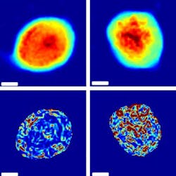 Content Dam Bow Online Articles 2017 03 134384 Web2 Content Dam Bow Online Articles 2017 03 134384 Web2