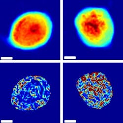 Content Dam Bow Online Articles 2017 03 134384 Web2 Content Dam Bow Online Articles 2017 03 134384 Web2