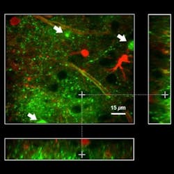 Content Dam Bow Online Articles 2017 03 134512 Web2 Content Dam Bow Online Articles 2017 03 134512 Web2