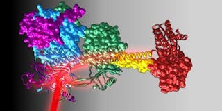 Content Dam Bow Online Articles 2017 03 Biochemie By Ibc Tugrazweb