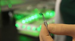 Content Dam Bow Online Articles 2017 03 Green Pain Tn 1 Web Content Dam Bow Online Articles 2017 03 Green Pain Tn 1 Web