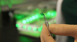 Content Dam Bow Online Articles 2017 03 Green Pain Tn 1 Web Content Dam Bow Online Articles 2017 03 Green Pain Tn 1 Web