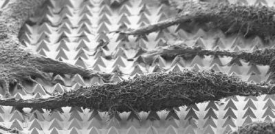 Content Dam Bow Online Articles 2017 03 Pyramidbanner Web