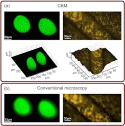 Single-snapshot images of lily flower pollen grains (left) and an irregular brass surface (right) are obtained using the computational complementary kernel matching (CKM) technique (a) and conventional microscopy (b). Both CKM images exceed the depth of field (DOF) of a conventional microscope.