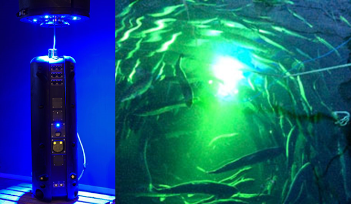 A 532 nm laser and camera system (left) housed inside the Stingray watertight aluminum package (the size of a boxer's heavy punching bag) can identify and remove lice from the scales of salmon at distances up to 2 m using a powerful burst of laser light (right). (Image credit: Stingray Marine Solutions)