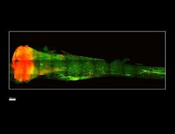 Content Dam Bow Online Articles 2017 04 139124 Web2 Content Dam Bow Online Articles 2017 04 139124 Web2