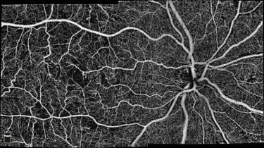 Content Dam Bow Online Articles 2017 04 Angivuehd Montage adil Web