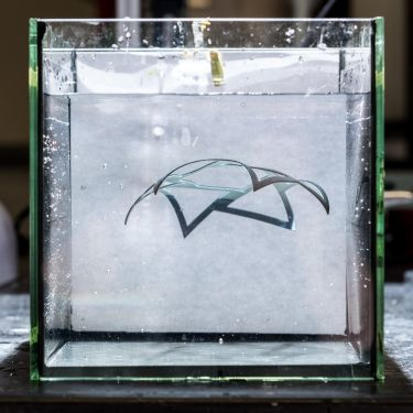 Content Dam Ils Online Articles 2017 04 Shape Shifting Web