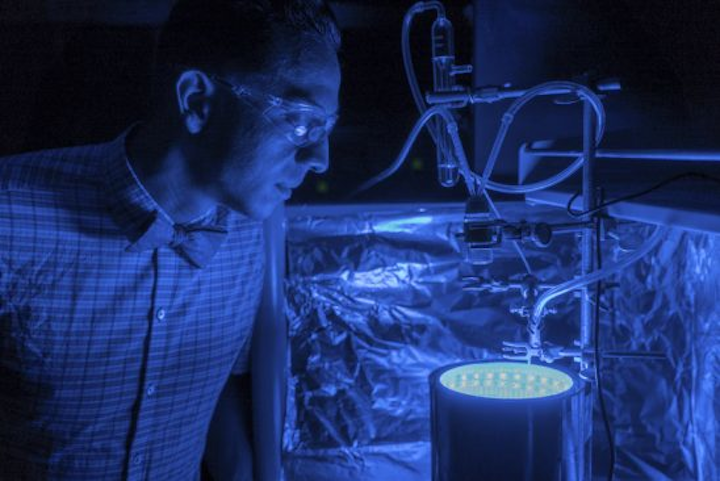 Professor Fernando Uribe-Romo and his team of students created a way to trigger a chemical reaction in a synthetic material called metal-organic frameworks (MOF) that breaks down carbon dioxide into harmless organic materials in an artificial photosynthesis process similar to the way plants convert carbon dioxide (CO2) and sunlight into food. But instead of producing food, Uribe-Romo's method produces solar fuel. (Image credit: Bernard Wilchusky/University of Central Florida)